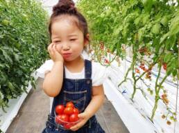 磐梯町　収穫体験